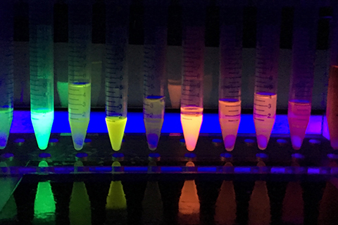 Fascination of Fluorescent Dyes and Their Various Applications