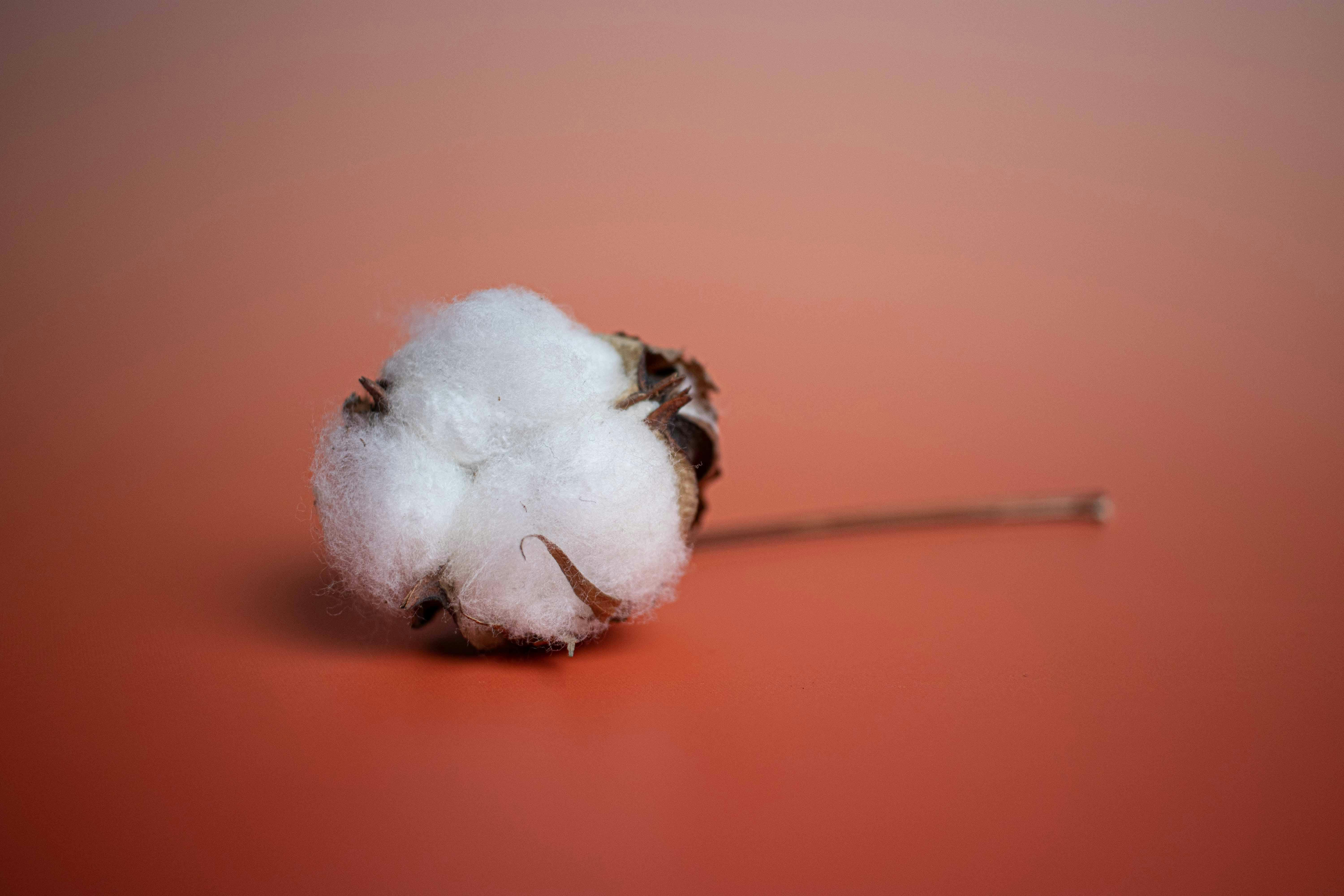 How To Choose The Right Reactive Dyes?