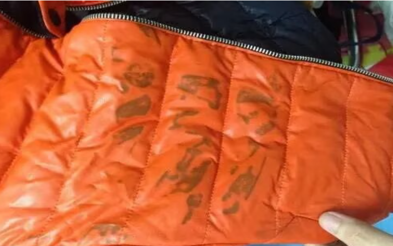 749eea39-8c2a-4e34-a4b4-9039ca9bf9b6