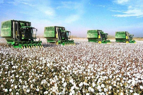 Impact of Xinjiang cotton incident over chemical fiber industry