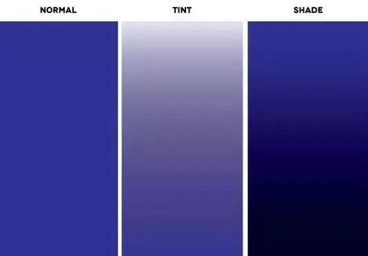 Light and dark colors.jpg