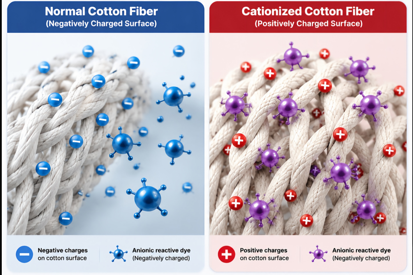 Cationic Modified Cotton Knitted Fabric Reactive Material Anti-dyeing Process